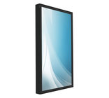 55" Xtreme Daylight Readable LCD Display