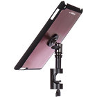 Snap-On iPad Cover/Mount with u-mount in Mauve