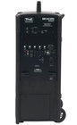 Beacon Line Array with Two Wireless Receivers