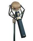 Transformerless Cardioid Large Diaphragm Studio Microphone with Integrated Shockmount