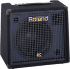 65W 12" Stereo Mixing Keyboard Amplifier
