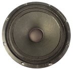 10" Woofer for E160P