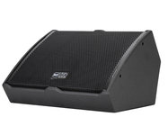 15" Active High Definition Coaxial Floor Monitor
