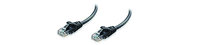 Ethernet Cable in Black - Product #: 293222400005