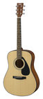 Acoustic Folk Guitar
