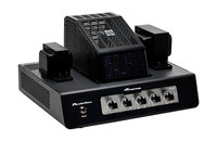 Portaflex Series 20W Tube Bass Amplifier Head