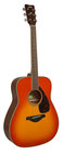 Acoustic Guitar with Mahogany Back & Sides