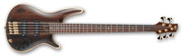 5-String Premium Series Bass Guitar, Natural Low Gloss Finish