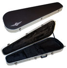 Large Two-Tone Guitar Case