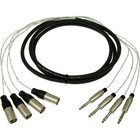 50 ft 4-Channel 1/4" TRS-M Fan to XLR-M Fan Studio Patch Snake