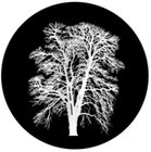 Glass Gobo, Inverted Tree