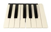 Korg 510646502086  Bank of 13 Keys for Pa500