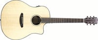 Pursuit Dreadnought Acoustic Guitar with Ebony Back and Sides