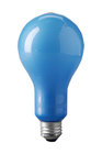 Blue Frosted Bulb