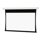 110" x 176" Tensioned Large Advantage Electrol HD Progressive 0.9 Screen