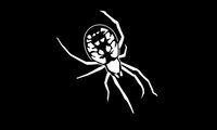 "Spider 1" Image Steel Gobo