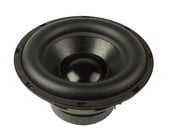 10" Woofer for TS10