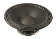 12" Woofer for NX35
