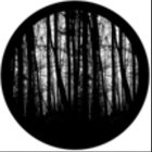 Blair Woods Glass Gobo