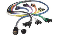 75 ft 8 Channel FM Series Inline Multipin/Fanout Snake with W2IF Multipin Connector, No Returns
