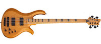 8-String Bass Guitar