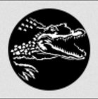 Africa Crocodile Steel Gobo