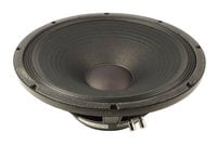 15" Woofer for TA5000-C