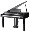 CGP220 [DISPLAY MODEL] Mini-Grand Digital Piano, Black Polish