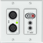 4x2 Channel 2 Gang Dante Wall Plate, UDP 3rd Party Control, Black