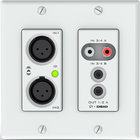 4x2 Channel 2 Gang Dante Wall Plate With XLR, RCA, 1/8" And Depluggable I/O, White