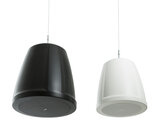 6.5" Two-Way Pendant-Mount Loudspeaker