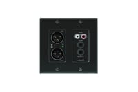 2x2-Ch Dante Audio Interface 2-Gang Wall Box with UDP, Black