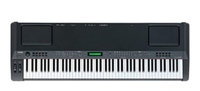 88-Key Professional Digital Piano