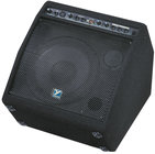 50W Amp, 10" Floor Monitor
