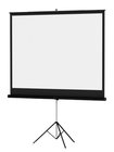 43" x 57" Versatol Matte White Projection Screen