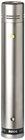 Cardioid Condenser Microphone