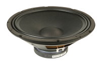 12" Woofer for Thump12