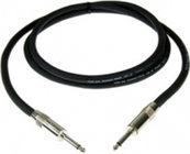 100' 1/4" TS to 1/4" TS 12AWG Speaker Cable