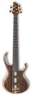 Premium 5-String Electric Bass - Natural Low Gloss