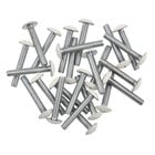 #8-32 1" Truss Head Phillips Zinc Screws, 24 Pack White Heads