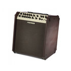 Loudbox Performer 2-Ch 180W Acoustic Guitar Amplifier with Kickstand