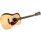 Folk Guitar, Acoustic, Hardshell Case