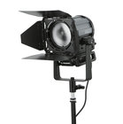 4" Daylight LED Fresnel Fixture with Barndoor