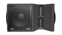 12" 2-Way Bi-Amp Line Array Speaker, 1000W