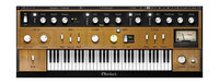 Sampled D6 Model Clavinet Virtual Instrument (Download)