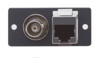 Wall Plate Insert - BNC & RJ-45