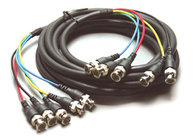 Molded 5 BNC (Male-Male) Cable (10')