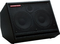 Bass Cabinet, 2 x 10" speakers, 250W, 8ohm