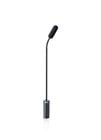 dscreet Miniature Gooseneck Supercardioid Podium/Hanging Microphone wirth 30cm Boom and XLR Adapter, Black