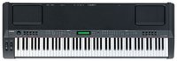 CP300 [EDUCATIONAL PRICING] 88-Key Professional Digital Piano